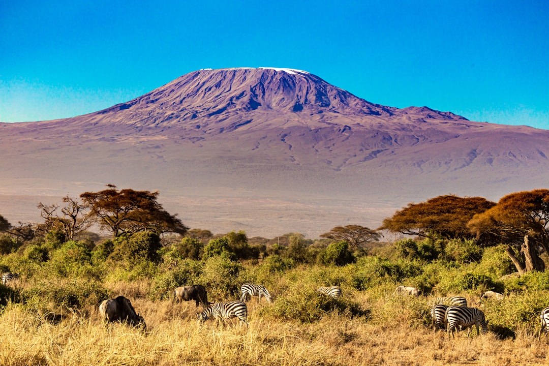 KILIMANJARO NATIONAL PARK